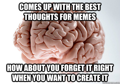 comes up with the best thoughts for memes how about you forget it right when you want to create it  Scumbag Brain