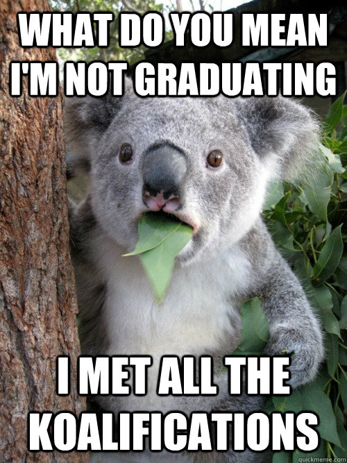 What do you mean I'm not graduating I met all the Koalifications  Surprised Koala