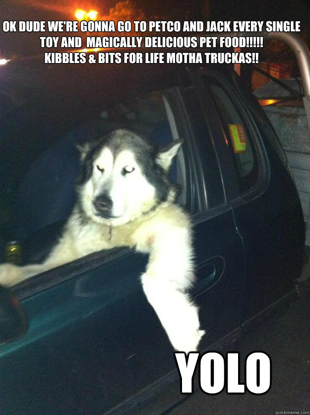 ok dude we're gonna go to petco and jack every single toy and  magically delicious pet food!!!!!
kibbles & bits for life motha truckas!! yolo - ok dude we're gonna go to petco and jack every single toy and  magically delicious pet food!!!!!
kibbles & bits for life motha truckas!! yolo  Mean Dog