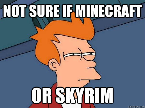 Not sure if Minecraft  Or Skyrim  Futurama Fry