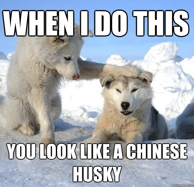 When i do this
 you look like a chinese husky  Caring Husky