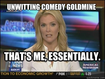 Unwitting comedy goldmine that's me, essentially.  Megyn Kelly