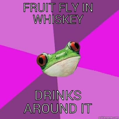 FRUIT FLY IN WHISKEY DRINKS AROUND IT Foul Bachelorette Frog