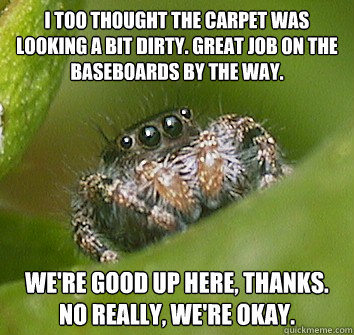 I too thought the carpet was looking a bit dirty. Great job on the baseboards by the way. We're good up here, thanks. no really, we're okay.  Misunderstood Spider