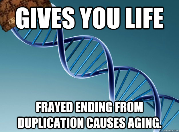 gives you life frayed ending from duplication causes aging.  Scumbag Genetics