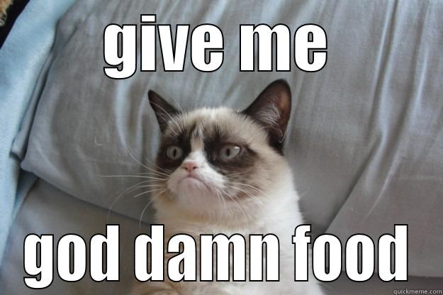 grumpys revenge - GIVE ME GOD DAMN FOOD Grumpy Cat