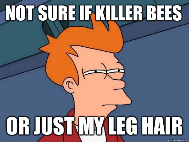 Not sure if killer bees Or just my leg hair  Futurama Fry