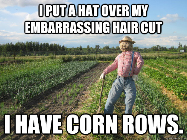 i put a hat over my embarrassing hair cut i have corn rows.  Scarecrow