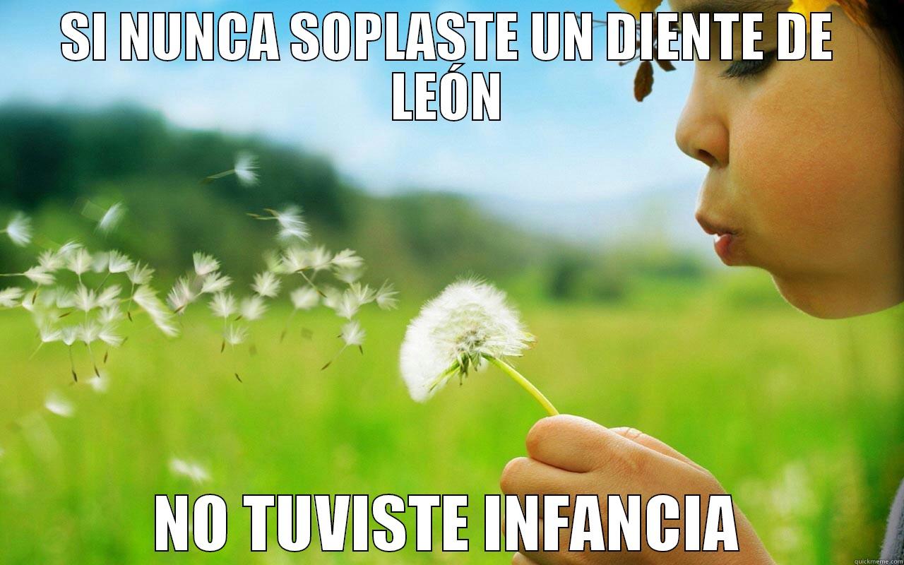 LEON :) - SI NUNCA SOPLASTE UN DIENTE DE LEÓN NO TUVISTE INFANCIA Misc