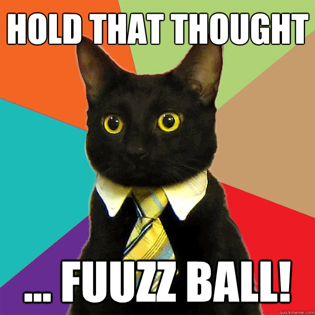 Hold that thought ... FUUZZ BALL!  Business Cat