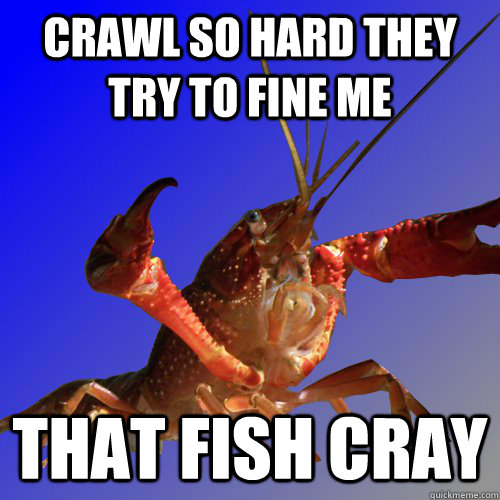 Crawl so hard they try to fine me  THAT fish CRAY - Crawl so hard they try to fine me  THAT fish CRAY  Cray Fish