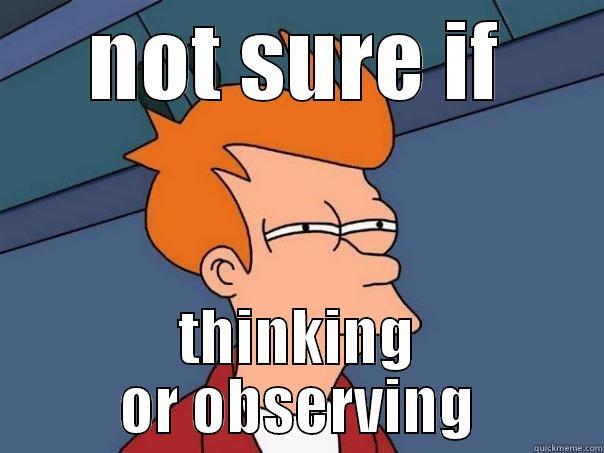 NOT SURE IF THINKING OR OBSERVING Futurama Fry