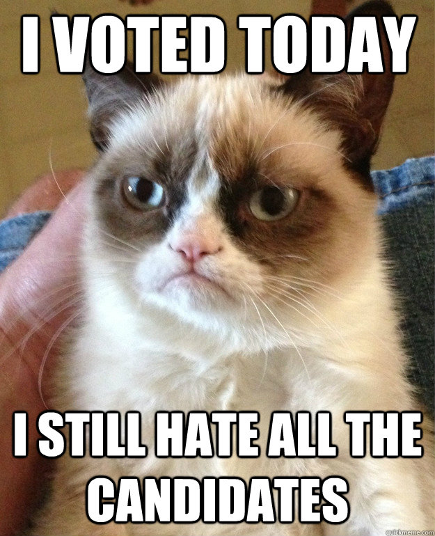 I voted today I still hate all the candidates  Grumpy Cat