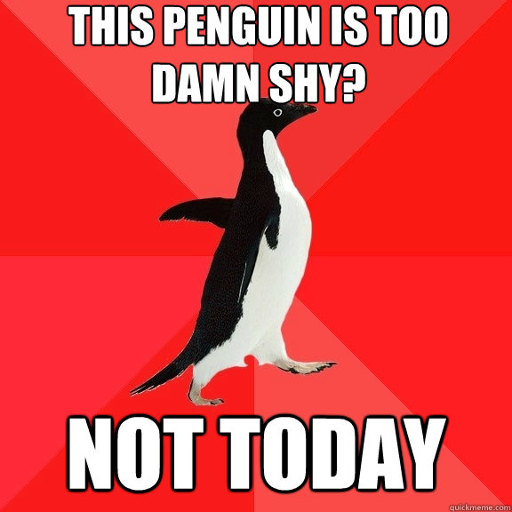 this penguin is too damn shy? not today  Socially Awesome Penguin