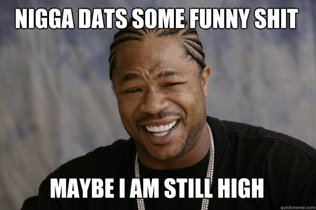 nigga dats some funny shit maybe I am still high - nigga dats some funny shit maybe I am still high  Xzibit meme