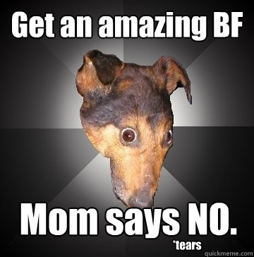 Get an amazing BF Mom says NO. *tears  Depression Dog