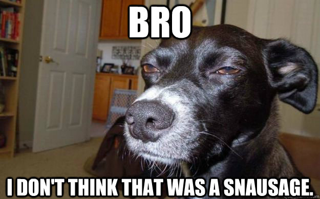 Bro I don't think that was a snausage.  Skeptical Mutt