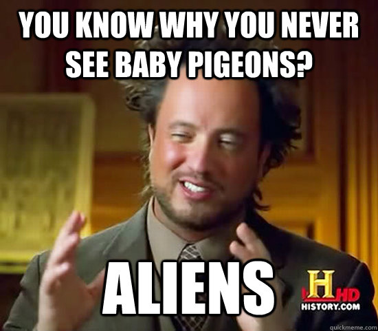 you know why you never see baby pigeons? aliens  Ancient Aliens