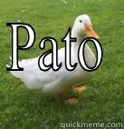 PATO  Misc