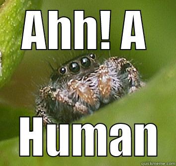 AHH! A  HUMAN Misunderstood Spider