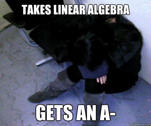 Takes linear algebra Gets an a-  