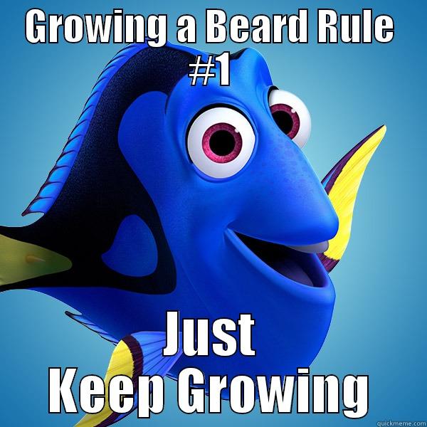 GROWING A BEARD RULE #1 JUST KEEP GROWING Misc