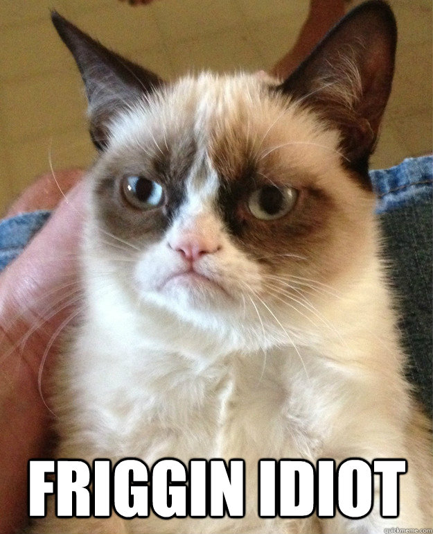  Friggin idiot  Grumpy Cat