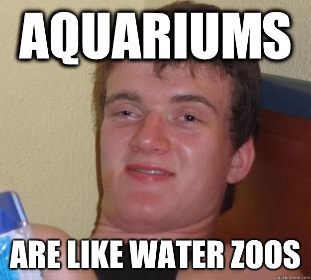 Aquariums Are like water zoos  10 Guy