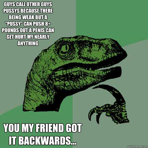 guys call other guys pussys because there being weak but a ''pussy'' can push 8+ pounds out a penis can get hurt my nearly anything 
 you my friend got it backwards...   Philosoraptor