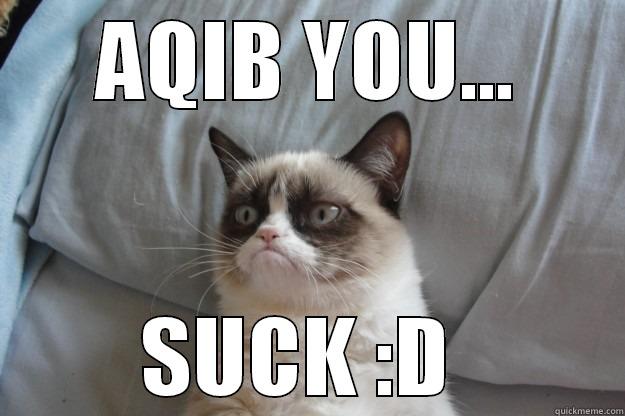 AQIB YOU... SUCK :D  Grumpy Cat