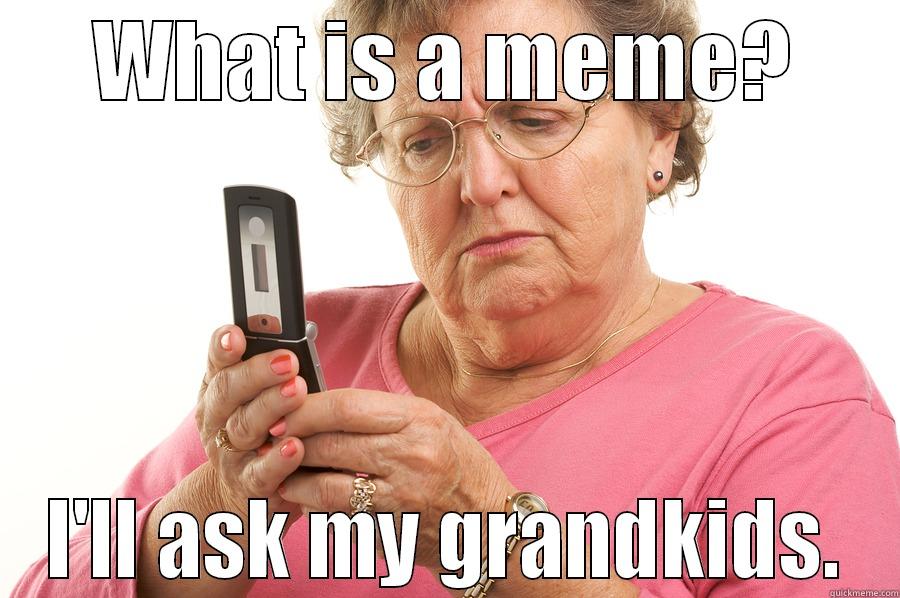 WHAT IS A MEME? I'LL ASK MY GRANDKIDS. Misc