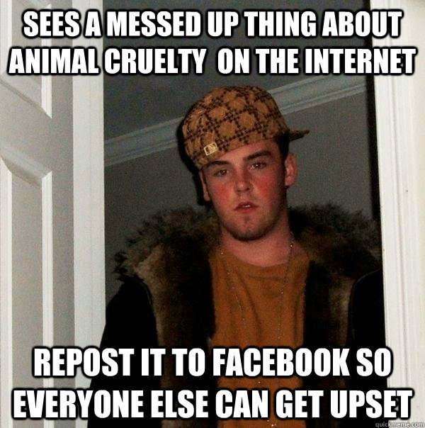 sees a messed up thing about animal cruelty  on the internet repost it to facebook so everyone else can get upset  Scumbag Steve