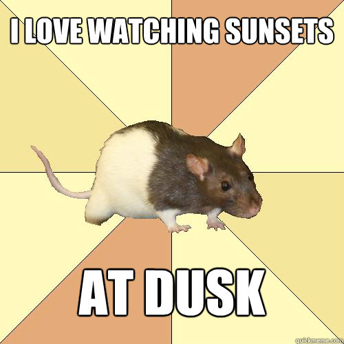 i love watching sunsets at dusk - i love watching sunsets at dusk  Redundant Rat