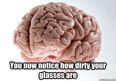  You now notice how dirty your glasses are  Scumbag Brain