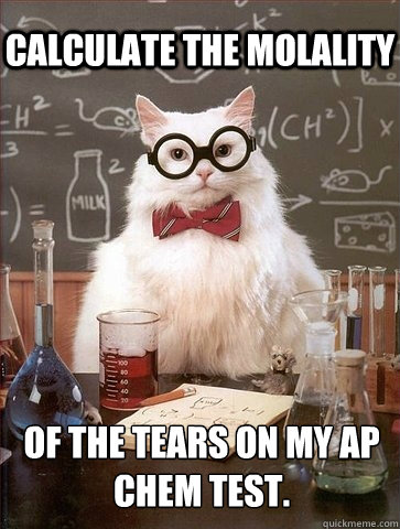 Calculate the molality of the tears on my AP chem test.  Chemistry Cat