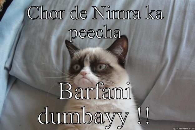 CHOR DE NIMRA KA PEECHA BARFANI DUMBAYY !! Grumpy Cat