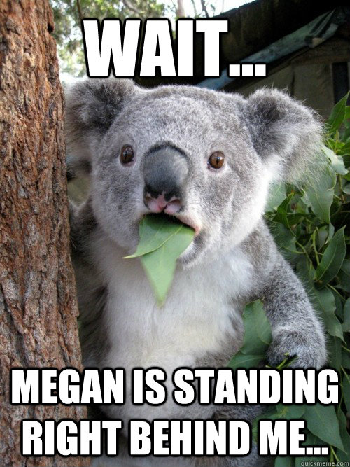 Wait... Megan Is Standing Right Behind Me... - Wait... Megan Is Standing Right Behind Me...  koala bear