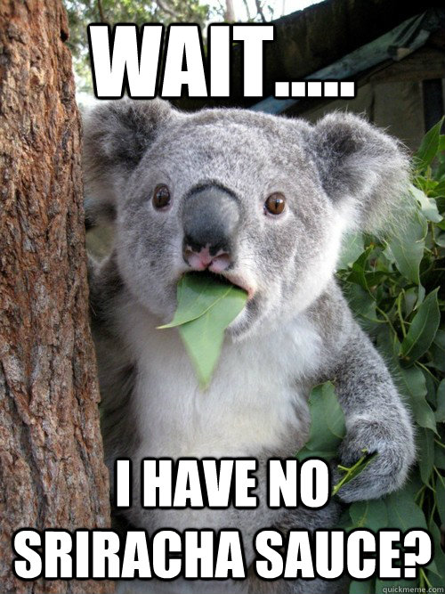 Wait..... I have no Sriracha sauce? - Wait..... I have no Sriracha sauce?  koala bear