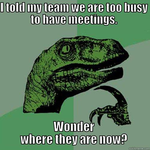 I TOLD MY TEAM WE ARE TOO BUSY TO HAVE MEETINGS. WONDER WHERE THEY ARE NOW? Philosoraptor