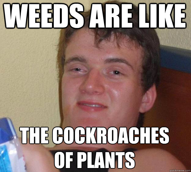 Weeds are like The Cockroaches of plants
  10 Guy