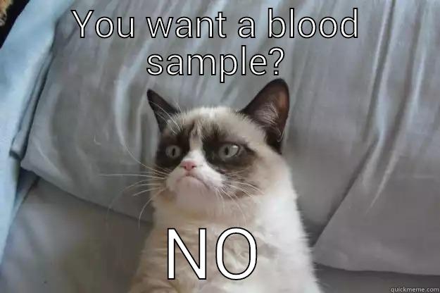 YOU WANT A BLOOD SAMPLE? NO Grumpy Cat