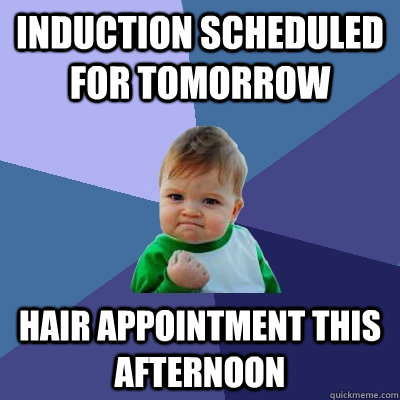 Induction scheduled for tomorrow hair appointment this afternoon   Success Kid