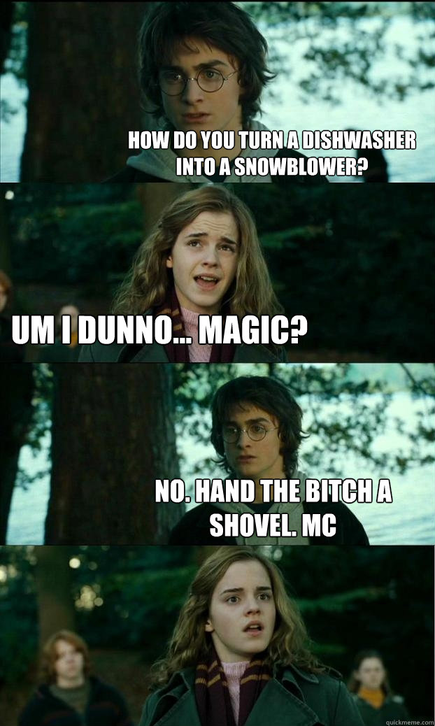 How do you turn a dishwasher into a snowblower? Um I dunno... Magic? No. Hand the bitch a shovel. MC  Horny Harry