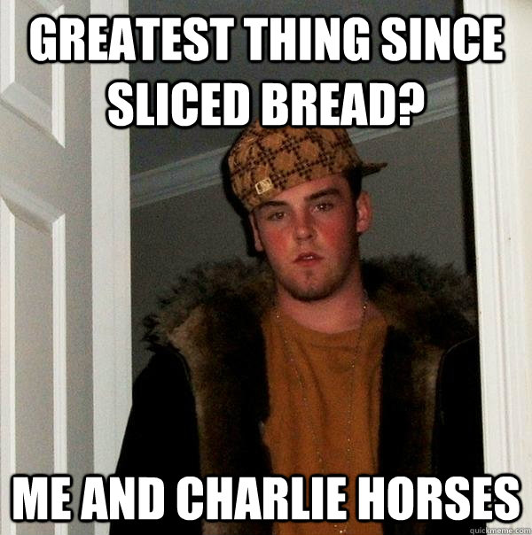 greatest thing since sliced bread? me and charlie horses  Scumbag Steve