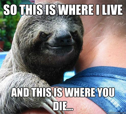 So this is where I live And this is where you die...
  Suspiciously Evil Sloth