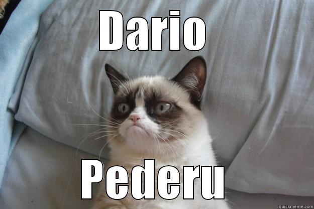 DARIO PEDERU Grumpy Cat