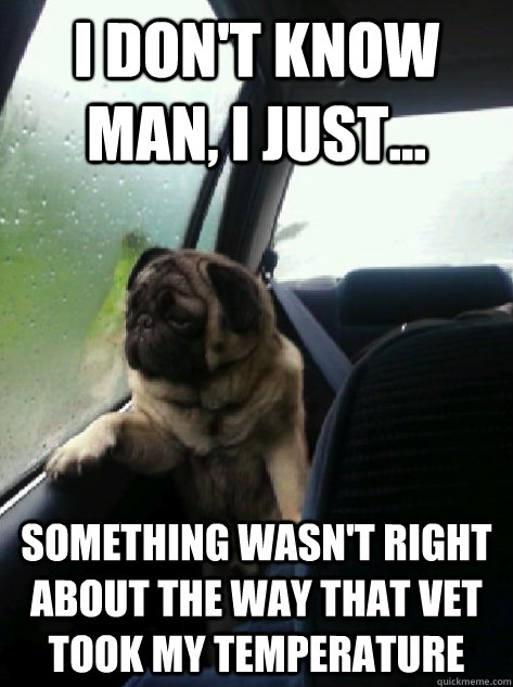 I don't know man, I just... something wasn't right about the way that vet took my temperature   Introspective Pug