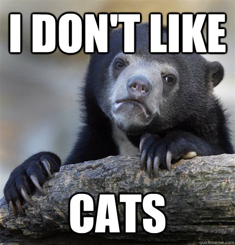 I don't like cats - I don't like cats  Confession Bear