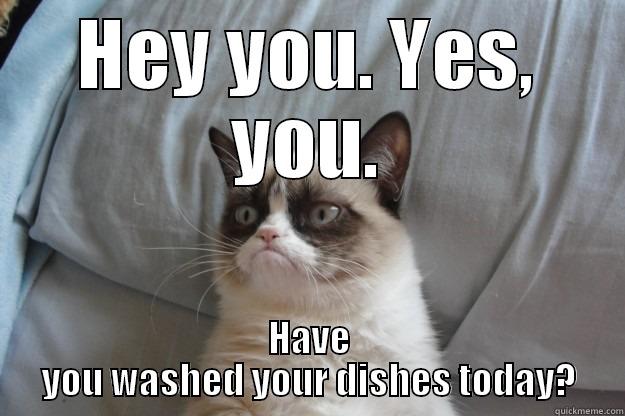 Wash yo dishes - HEY YOU. YES, YOU. HAVE YOU WASHED YOUR DISHES TODAY? Grumpy Cat