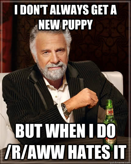 I don't always get a new puppy but when I do /r/aww hates it - I don't always get a new puppy but when I do /r/aww hates it  The Most Interesting Man In The World